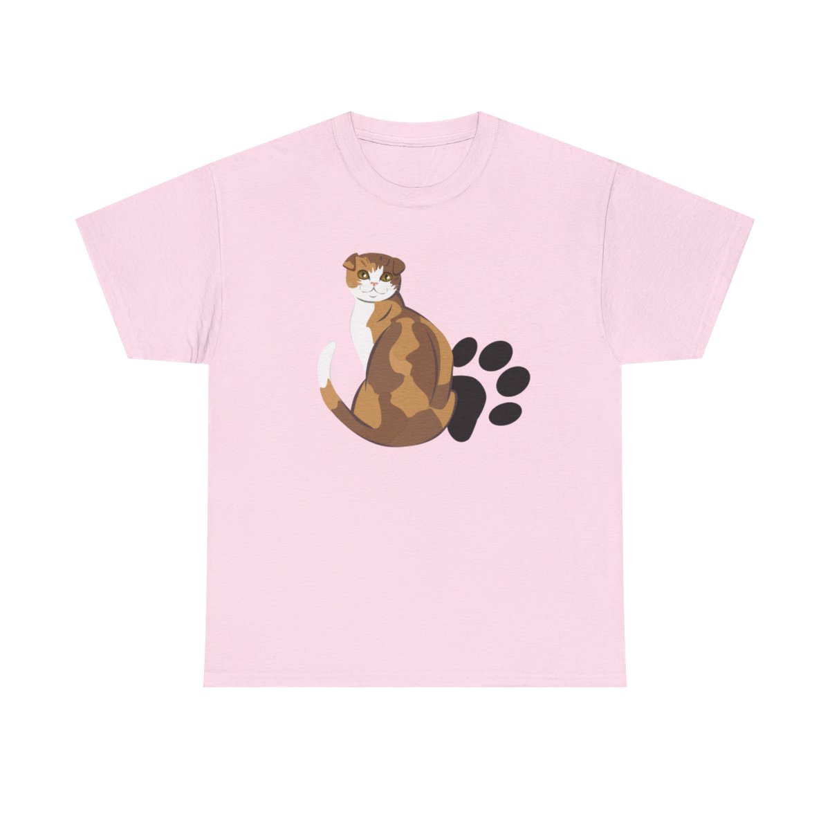 Scottish Fold - Bild 82
